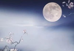 關(guān)于月夜的古詩詩句