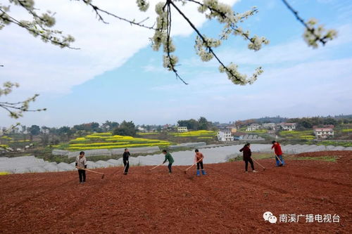 關(guān)于春耕意義的詩(shī)句