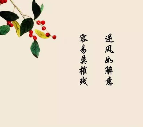 關(guān)于心詩句有哪些