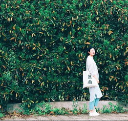 關(guān)于樹葉的詩句親熱人