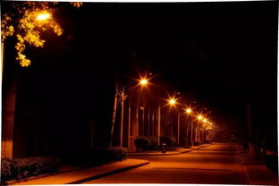 關(guān)于描寫夏天景色的古詩句,關(guān)于描寫夏天的古詩句,寫夏天的古詩句