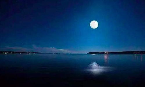 夜景很美的古詩句子