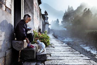 三句關(guān)于遺憾的詩(shī)句