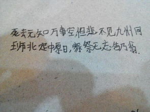 關(guān)于楠木的贊美的詩(shī)句