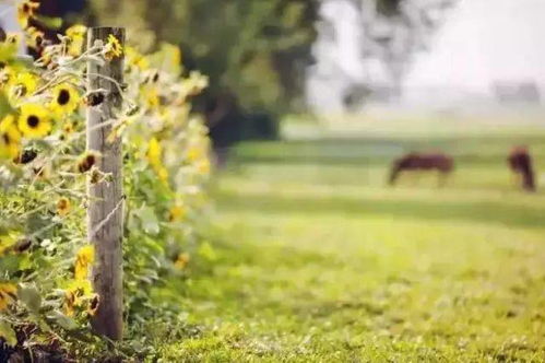 人生之路感悟的詩(shī)句,人生之路坎坷不平的詩(shī)句,描寫人生之路的詩(shī)句