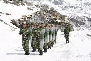 關(guān)于對軍人冷漠的詩句