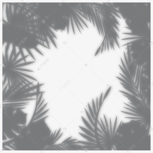 關(guān)于樹葉影子的詩句