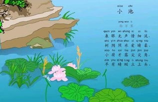 關于夏天的水的古詩句有哪些