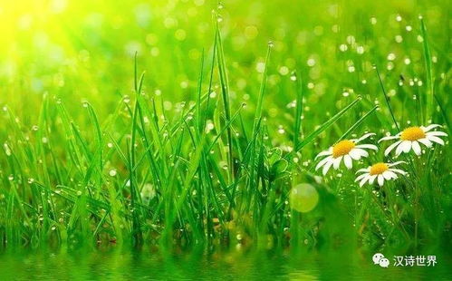 關(guān)于冬日開心的詩句