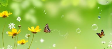 表示春天相聚的詩句,表示描寫春天的詩句,表示春天美好的詩句