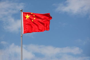 關(guān)于旗子的詩句