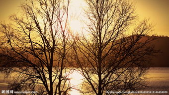 關(guān)于河面夕陽的詩句