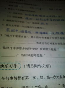 寫一篇關于古詩句的作文