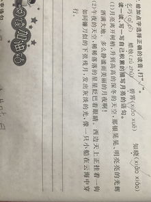 被質(zhì)疑的古詩(shī)句解釋