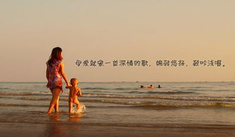 表現(xiàn)親情母愛的古詩句