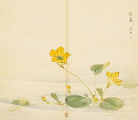 詩經(jīng)關于花草的詩句