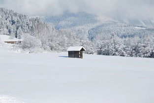 小學(xué)課本必會(huì)關(guān)于雪的詩句