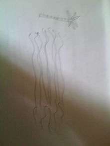 體現(xiàn)一變化的古詩句