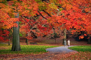 描寫秋天的古詩(shī)句有哪些三級(jí)