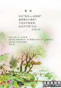 秋天的詩句古詩,關于描寫秋天的詩句古詩,贊美秋天的詩句古詩