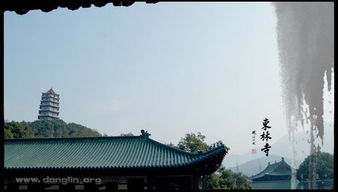 關(guān)于東林寺的詩句