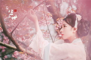 關(guān)于粉紅女郎的詩(shī)句