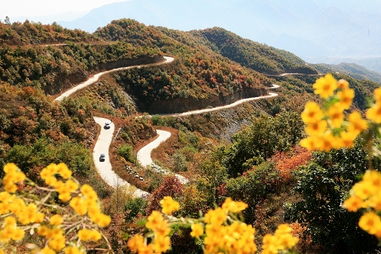 關(guān)于農(nóng)村公路的詩(shī)句