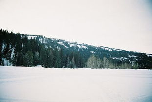 關于安眠的詩句