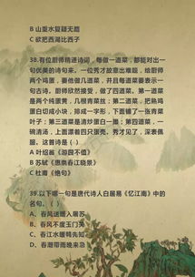 詩(shī)句,考古,小升初