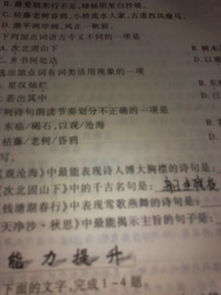 關(guān)于寬廣胸懷的詩句