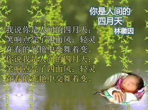 關(guān)于生命的詩(shī)句現(xiàn)代