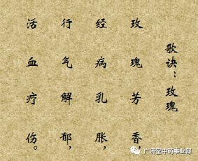 關(guān)于春末夏初花的詩(shī)句