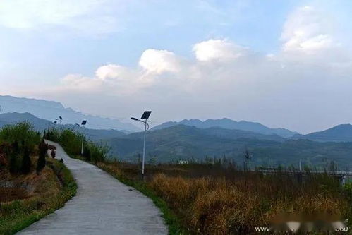 關(guān)于田園風(fēng)光春天的桃花詩(shī)句