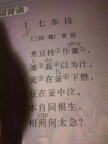 詩(shī)句,諷刺,意義