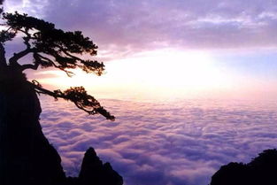 一句關(guān)于廬山的詩句