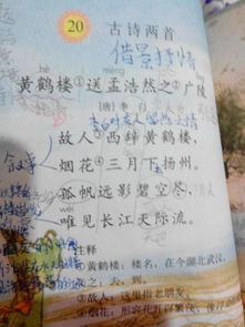 春天的詩(shī)句古詩(shī)大全,關(guān)于描寫(xiě)春天的詩(shī)句古詩(shī)大全,關(guān)于春天梅花的詩(shī)句古詩(shī)大全