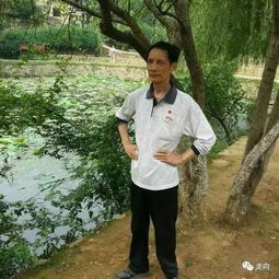 關(guān)于柳林的詩句