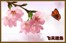 形容鯉魚(yú)的古詩(shī)句