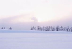 古詩,詩句,湖水,描寫