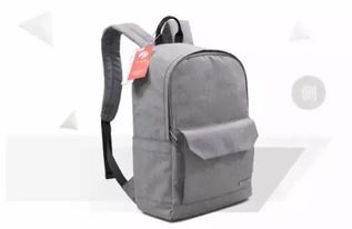 關(guān)于背包的詩句