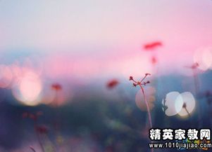 文藝古詩(shī)句精選