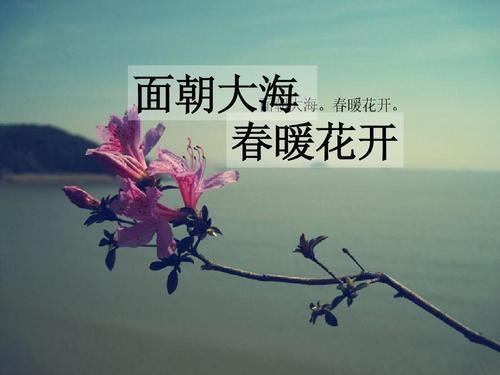 積極向上的詩句古詩詞,形容積極向上的詩句,積極向上的唯美詩句