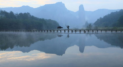 關(guān)于鼎湖峰風景的詩句詞句