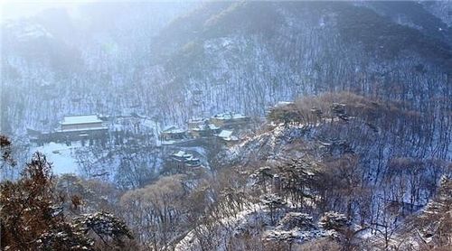 不帶,詩(shī)句,于雪