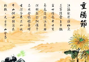重陽(yáng)節(jié)的古詩(shī)關(guān)于重陽(yáng)節(jié)的古詩(shī),重陽(yáng)節(jié)關(guān)于重陽(yáng)節(jié)的詩(shī)句,重陽(yáng)節(jié)詩(shī)句古詩(shī)大全重陽(yáng)節(jié)詩(shī)句古詩(shī)