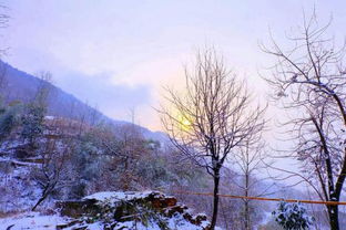 春天秋天夏天冬天的描述,春天秋天夏天冬天的特征,春天夏天冬天秋天英語怎么讀