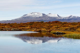 歌頌,詩(shī)句,大自然