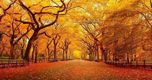 含冬的的詩(shī)句古詩(shī)