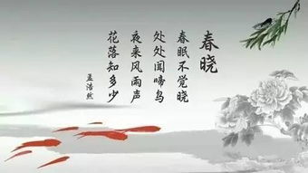 唐關(guān)于皮影戲的詩句