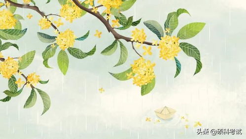 有關(guān)菊花牡丹的詩(shī)句古詩(shī)